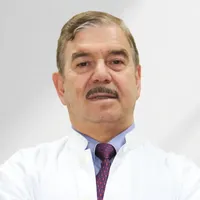 Prof. Abdul Karim Msaddi