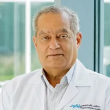 Dr. Mahmoud Elsamanoudy